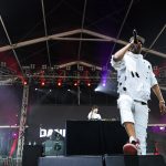 The Governors Ball Music Festival 2017 (New York City) – Photos by Max HontzDSC 8114