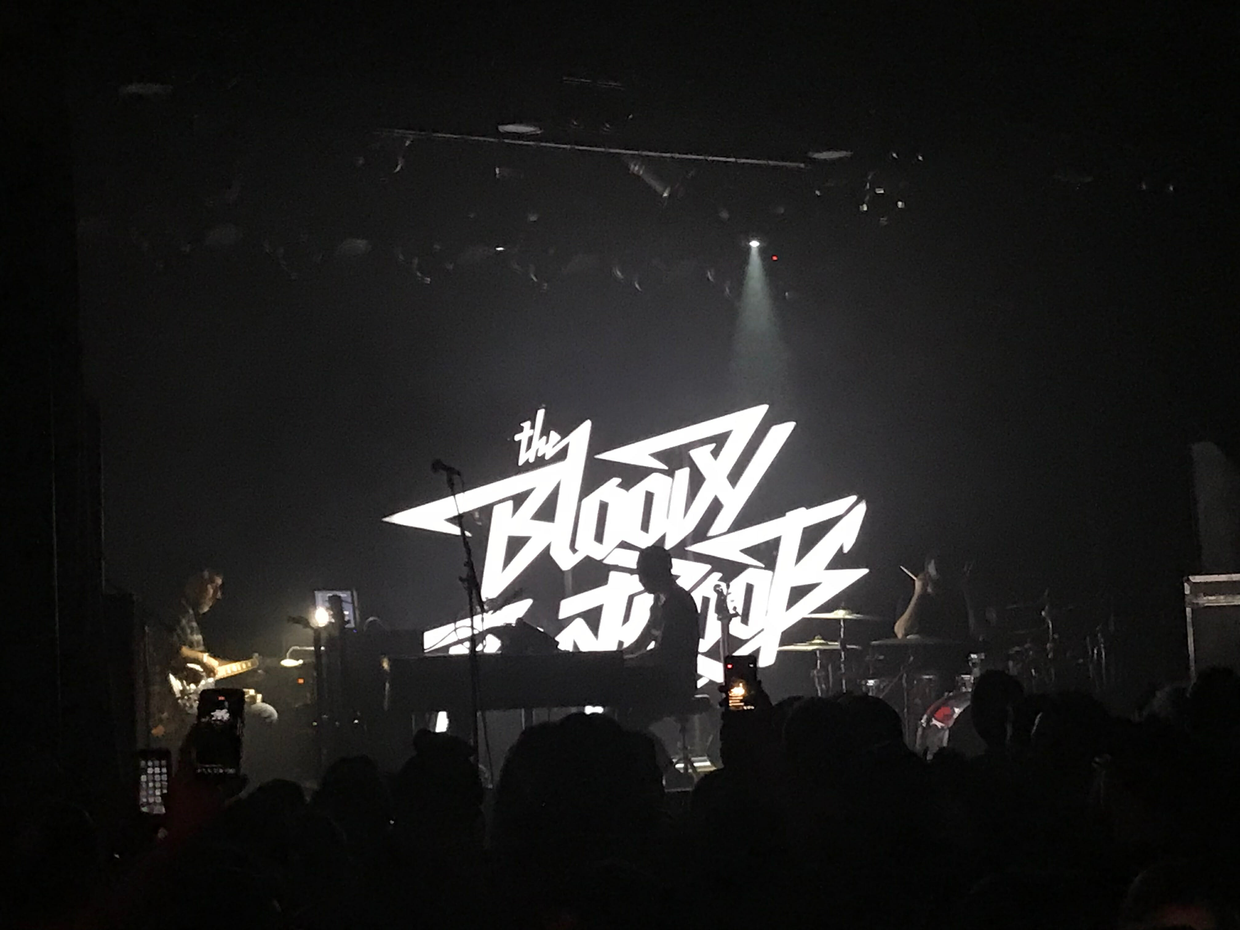 bloody beetroots tour 2023
